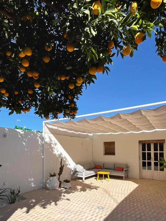 Design & Art, Patio With Orange Tree, Near Seville Carrion de Los Cespedes Eksteriør bilde